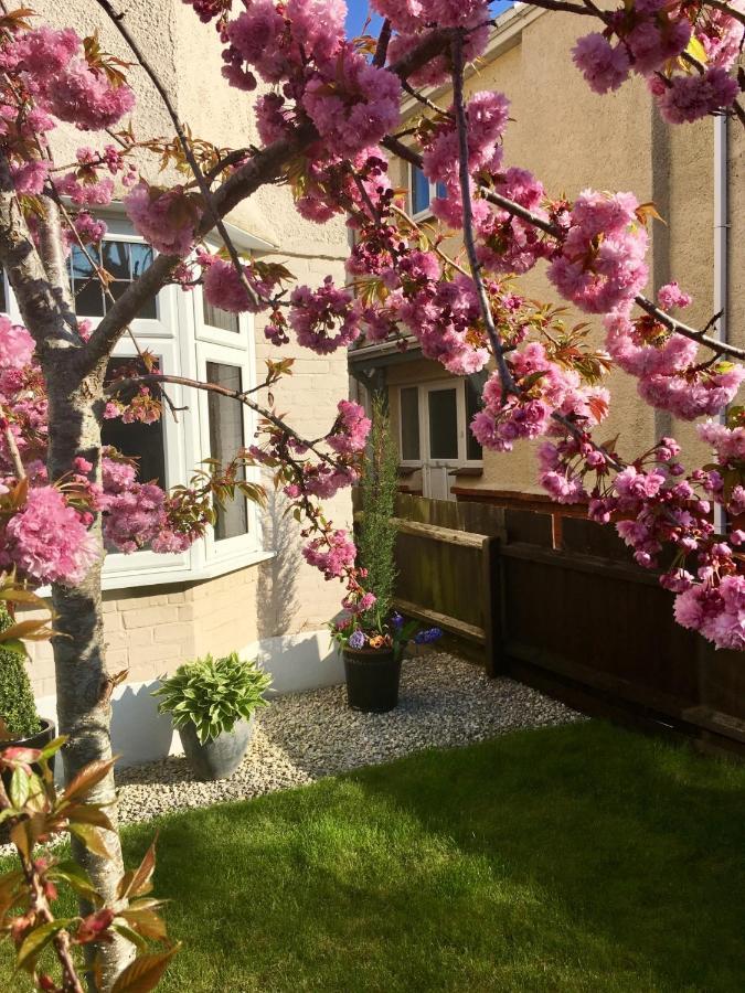伯恩茅斯Cherry Tree House住宿加早餐旅馆 外观 照片